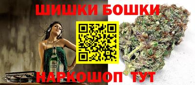mdpv Ачхой-Мартан