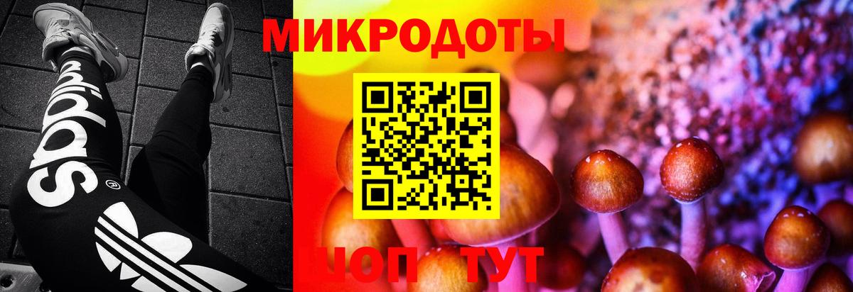 Псилоцибиновые грибы ЛСД  Вход с VPN  Галлюциногенные грибы мицелий  Богданович 